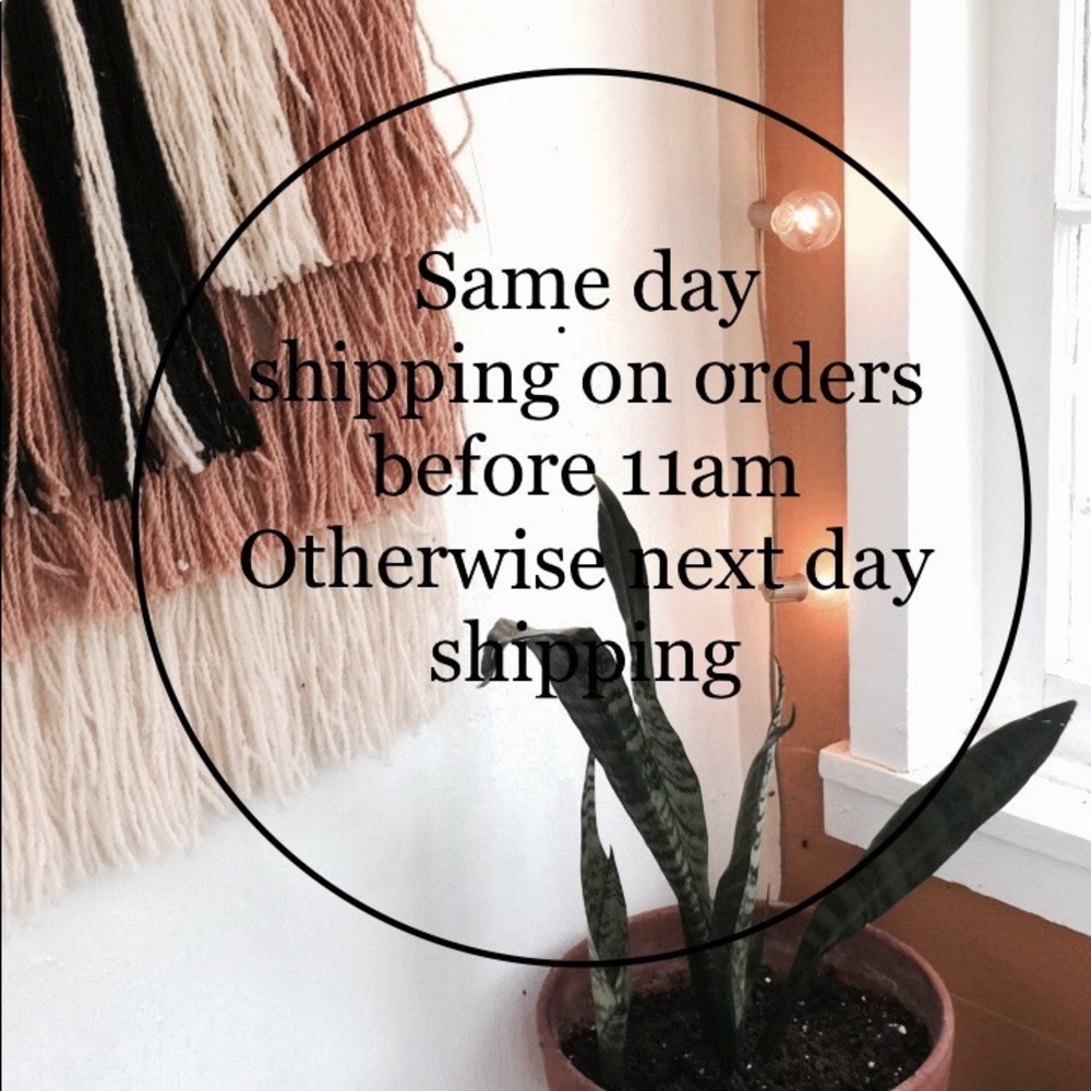 << Fast Shipping!! >> - image 1